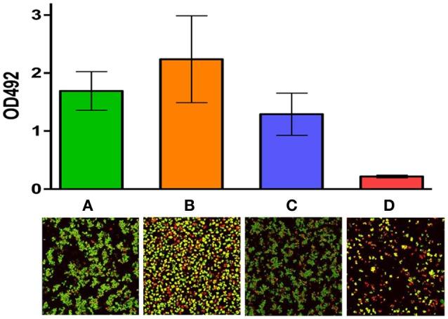 https://cdn.ncbi.nlm.nih.gov/pmc/blobs/1273/5489601/5a997368230f/fmicb-08-01205-g0002.jpg