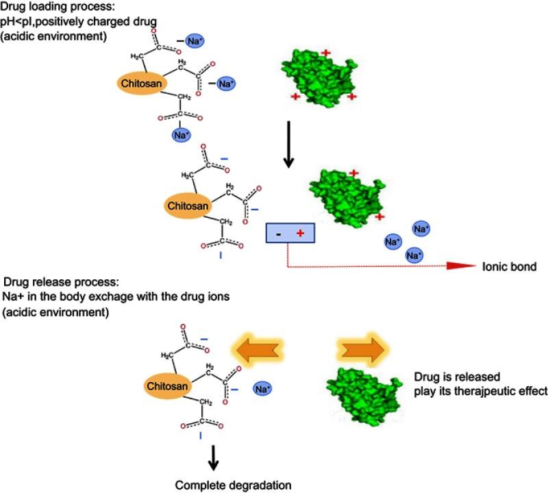 https://cdn.ncbi.nlm.nih.gov/pmc/blobs/1273/6645601/18b6daf2f5d0/IJN-14-5339-g0001.jpg