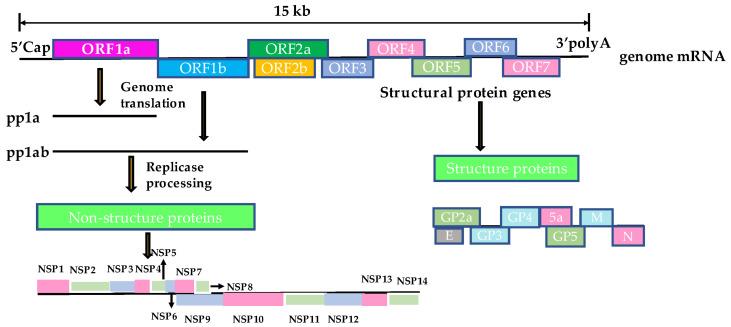 https://cdn.ncbi.nlm.nih.gov/pmc/blobs/1274/10000246/297cfc7da1f1/animals-13-00813-g001.jpg