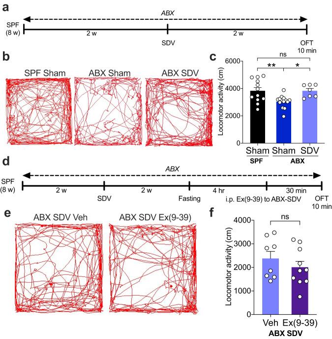 https://cdn.ncbi.nlm.nih.gov/pmc/blobs/1277/10791613/25c5af86006e/41522_2024_477_Fig3_HTML.jpg