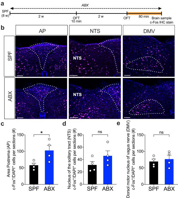 https://cdn.ncbi.nlm.nih.gov/pmc/blobs/1277/10791613/7391a6a70db5/41522_2024_477_Fig2_HTML.jpg
