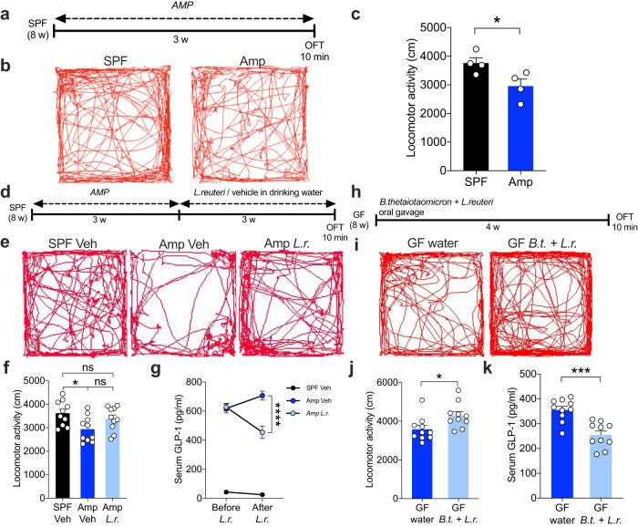 https://cdn.ncbi.nlm.nih.gov/pmc/blobs/1277/10791613/755b117f1c51/41522_2024_477_Fig6_HTML.jpg