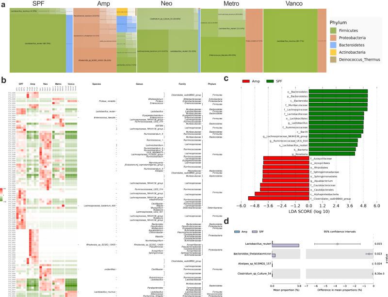 https://cdn.ncbi.nlm.nih.gov/pmc/blobs/1277/10791613/95e4605350b3/41522_2024_477_Fig5_HTML.jpg