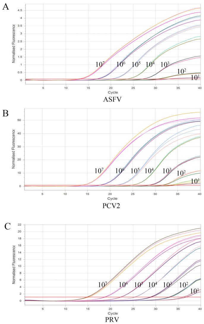 https://cdn.ncbi.nlm.nih.gov/pmc/blobs/1277/9964870/b0920f22d385/vetsci-10-00106-g003.jpg