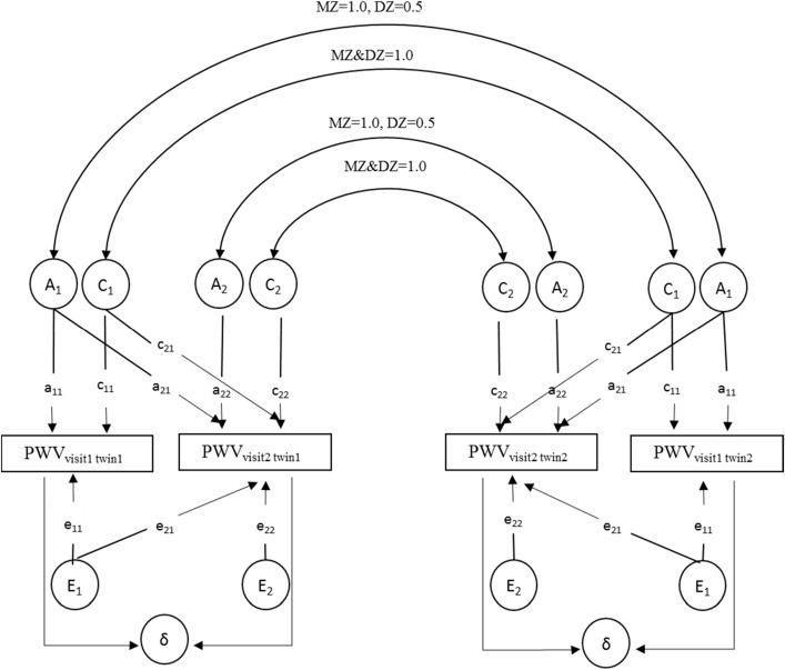 https://cdn.ncbi.nlm.nih.gov/pmc/blobs/1278/8076172/ab434c3331c3/41598_2021_88490_Fig1_HTML.jpg