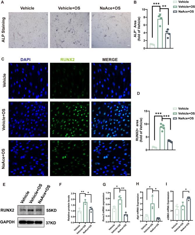 https://cdn.ncbi.nlm.nih.gov/pmc/blobs/1279/11344439/9e34d59436f1/10020_2024_900_Fig5_HTML.jpg
