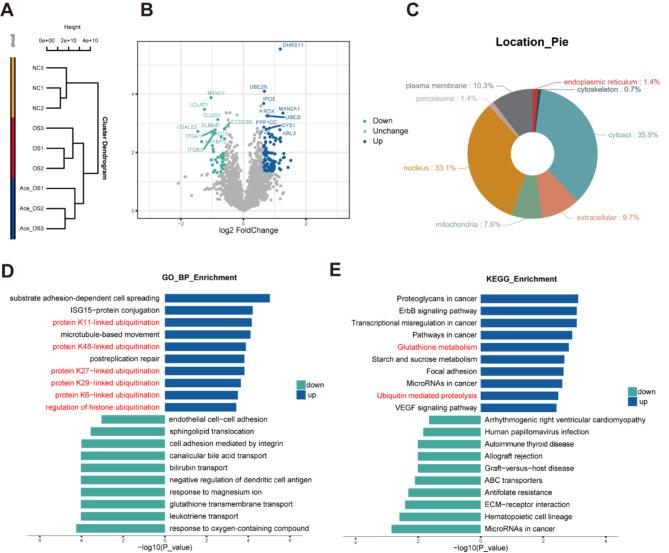 https://cdn.ncbi.nlm.nih.gov/pmc/blobs/1279/11344439/ab101dd41d99/10020_2024_900_Fig6_HTML.jpg