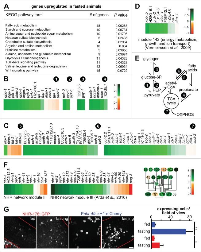 https://cdn.ncbi.nlm.nih.gov/pmc/blobs/1279/4835962/724ffe106d26/kaup-12-03-1136771-g008.jpg