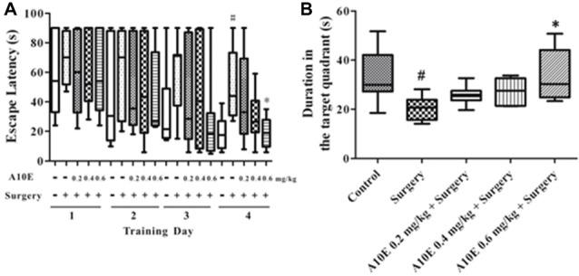 https://cdn.ncbi.nlm.nih.gov/pmc/blobs/127a/6243707/75161ce4c077/fncel-12-00396-g0006.jpg