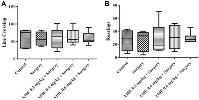https://cdn.ncbi.nlm.nih.gov/pmc/blobs/127a/6243707/8a23c7ac9fb3/fncel-12-00396-g0002.jpg