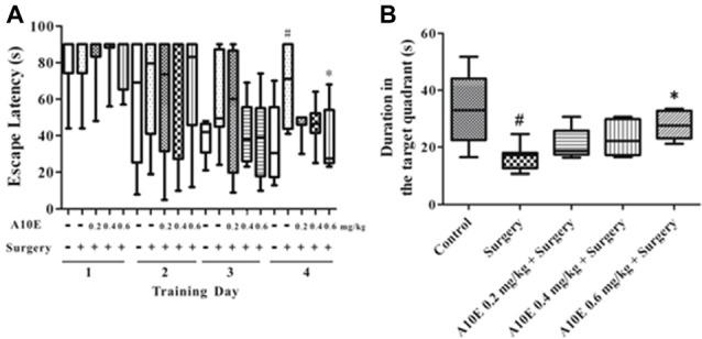 https://cdn.ncbi.nlm.nih.gov/pmc/blobs/127a/6243707/f1bee91b9257/fncel-12-00396-g0004.jpg