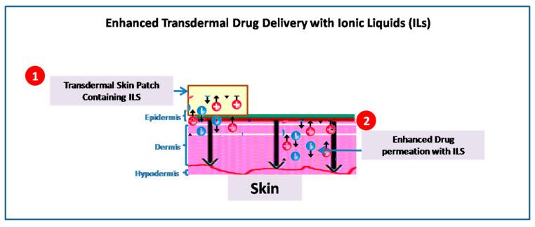 https://cdn.ncbi.nlm.nih.gov/pmc/blobs/127c/9963759/bd54bd28006a/pharmaceutics-15-00702-g002.jpg