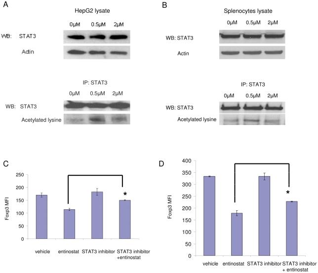 https://cdn.ncbi.nlm.nih.gov/pmc/blobs/1280/3267747/457d0a180cbf/pone.0030815.g006.jpg