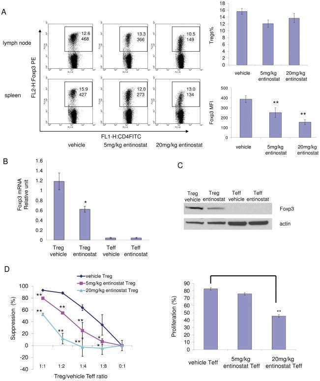 https://cdn.ncbi.nlm.nih.gov/pmc/blobs/1280/3267747/e470ebda08c3/pone.0030815.g005.jpg