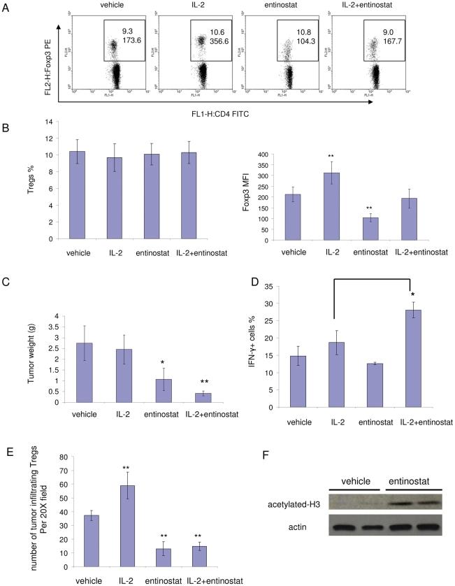 https://cdn.ncbi.nlm.nih.gov/pmc/blobs/1280/3267747/f2015c2d14eb/pone.0030815.g001.jpg