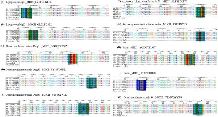 https://cdn.ncbi.nlm.nih.gov/pmc/blobs/1281/6589079/77b68fe837c3/peerj-07-6223-g006.jpg