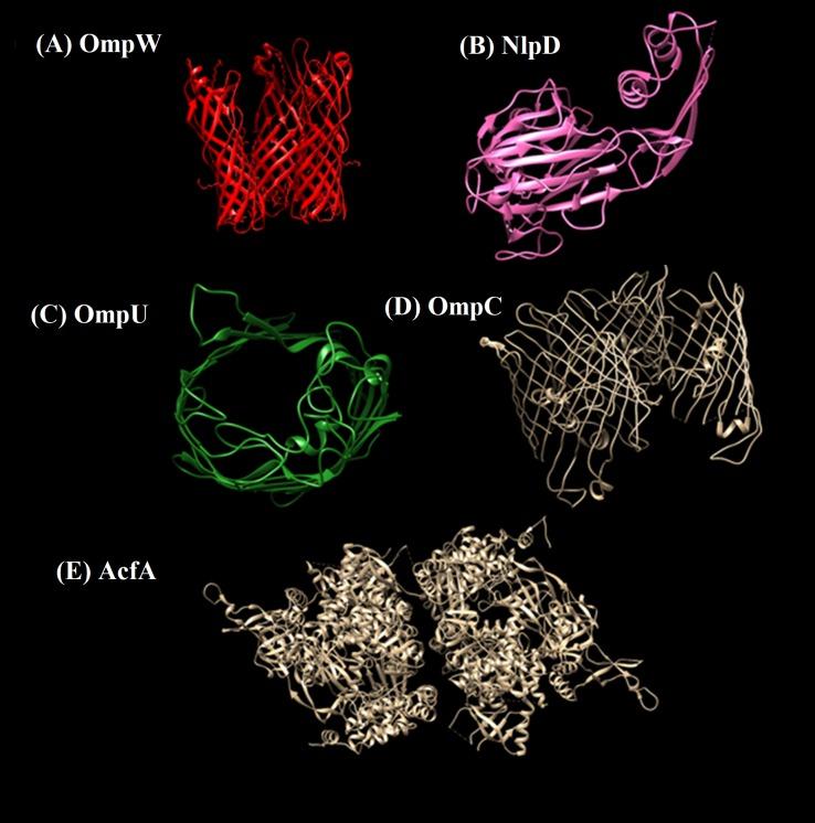 https://cdn.ncbi.nlm.nih.gov/pmc/blobs/1281/6589079/cd8f33c6e779/peerj-07-6223-g005.jpg