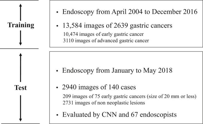https://cdn.ncbi.nlm.nih.gov/pmc/blobs/1281/7818187/35c717c4f2d8/DEN-33-141-g001.jpg