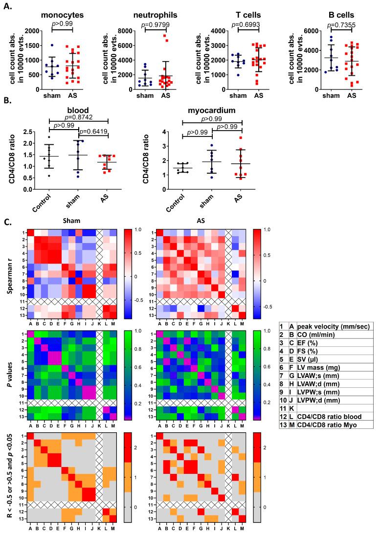 https://cdn.ncbi.nlm.nih.gov/pmc/blobs/1283/12191246/131f678b0eb4/cells-14-00883-g003.jpg