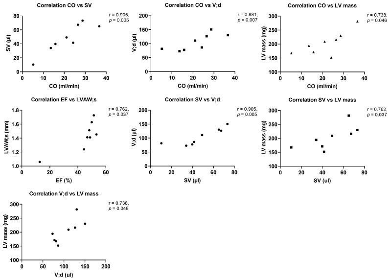 https://cdn.ncbi.nlm.nih.gov/pmc/blobs/1283/12191246/1b34957fde61/cells-14-00883-g0A1.jpg