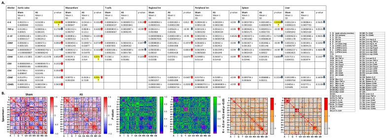 https://cdn.ncbi.nlm.nih.gov/pmc/blobs/1283/12191246/3a67450d28fc/cells-14-00883-g004.jpg