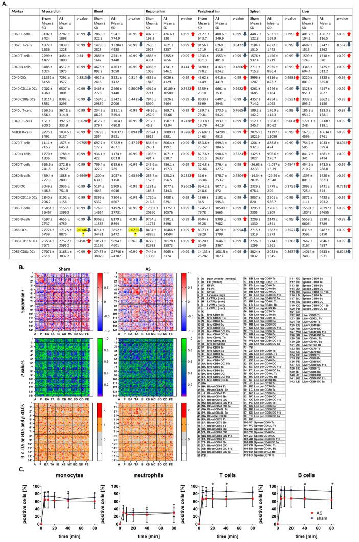 https://cdn.ncbi.nlm.nih.gov/pmc/blobs/1283/12191246/4007ea5dc08a/cells-14-00883-g006.jpg