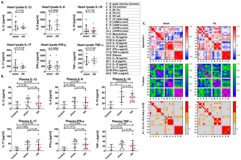 https://cdn.ncbi.nlm.nih.gov/pmc/blobs/1283/12191246/5518d0d5e21f/cells-14-00883-g005.jpg