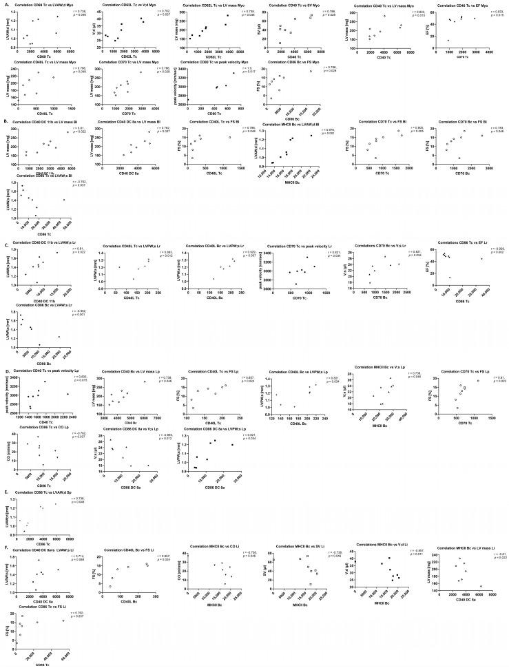 https://cdn.ncbi.nlm.nih.gov/pmc/blobs/1283/12191246/8521161b5b50/cells-14-00883-g0A6.jpg