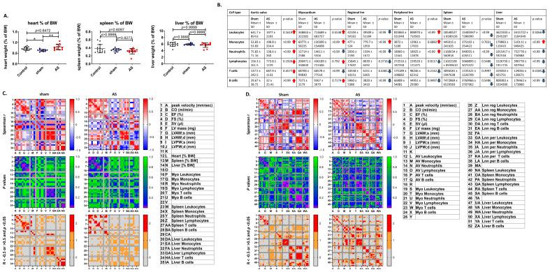 https://cdn.ncbi.nlm.nih.gov/pmc/blobs/1283/12191246/ba1339c56f83/cells-14-00883-g002.jpg