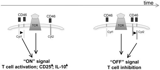 https://cdn.ncbi.nlm.nih.gov/pmc/blobs/1283/3023775/c4cb352ec70c/pone.0016287.g010.jpg