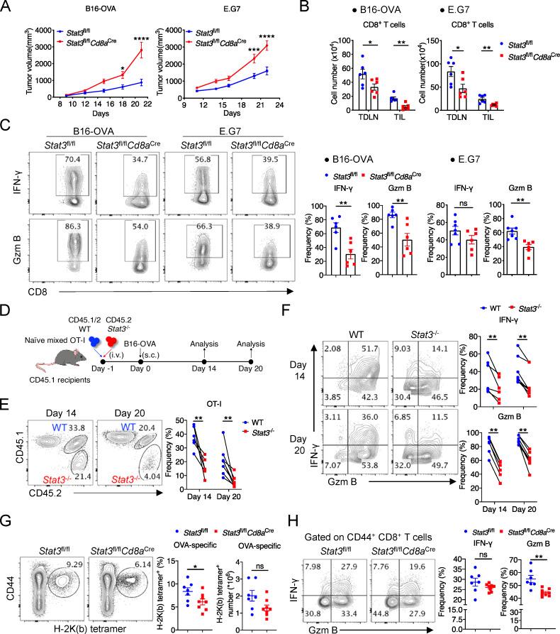 https://cdn.ncbi.nlm.nih.gov/pmc/blobs/1283/9884582/1752634c93f4/JEM_20220686_Fig1.jpg