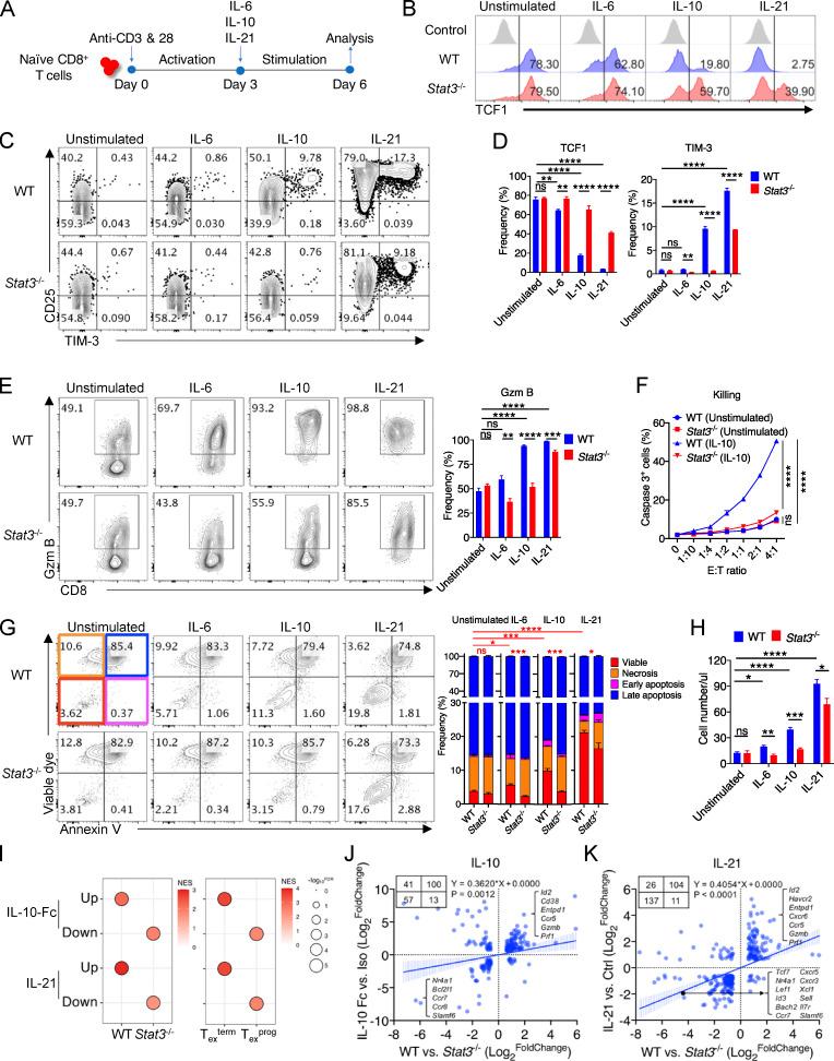 https://cdn.ncbi.nlm.nih.gov/pmc/blobs/1283/9884582/30858f10ff27/JEM_20220686_Fig4.jpg