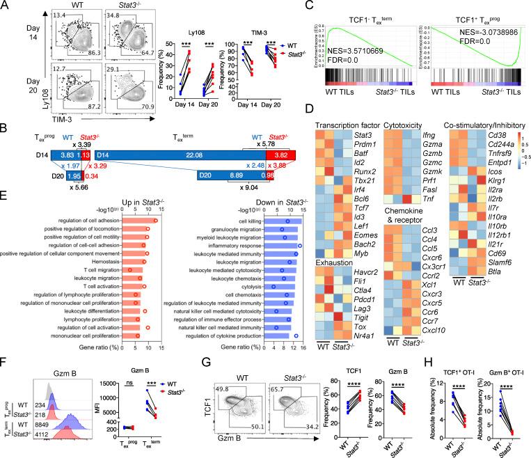 https://cdn.ncbi.nlm.nih.gov/pmc/blobs/1283/9884582/579fc7537366/JEM_20220686_Fig2.jpg