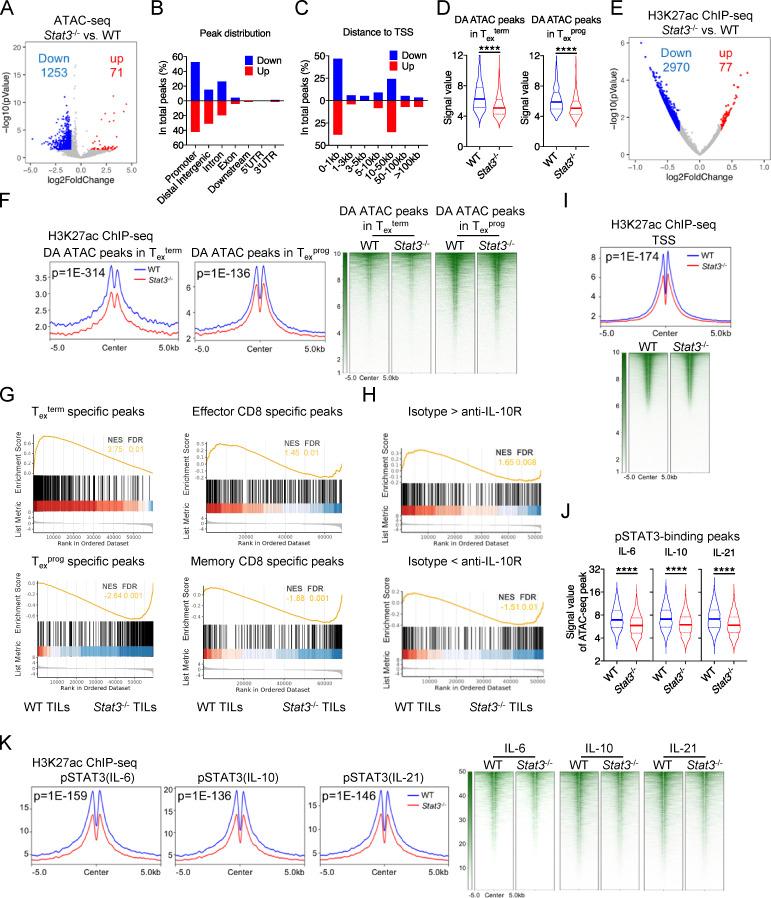 https://cdn.ncbi.nlm.nih.gov/pmc/blobs/1283/9884582/bb62d79013dc/JEM_20220686_Fig6.jpg
