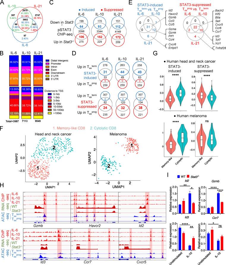 https://cdn.ncbi.nlm.nih.gov/pmc/blobs/1283/9884582/d776c5c7f518/JEM_20220686_Fig5.jpg