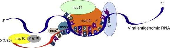 https://cdn.ncbi.nlm.nih.gov/pmc/blobs/1289/7113864/1431075da2b3/gr5.jpg