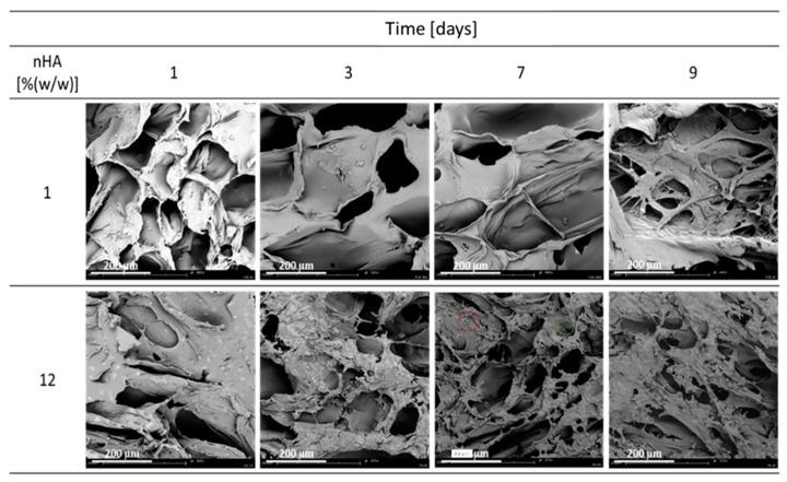 https://cdn.ncbi.nlm.nih.gov/pmc/blobs/1289/9181950/a973b21c10fd/materials-15-03858-g003.jpg