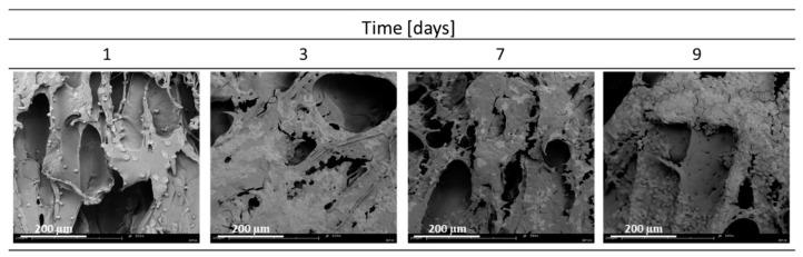 https://cdn.ncbi.nlm.nih.gov/pmc/blobs/1289/9181950/df2749b4c7eb/materials-15-03858-g001.jpg