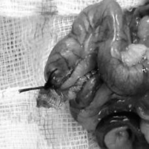https://cdn.ncbi.nlm.nih.gov/pmc/blobs/128b/3134701/854faac641ad/jls0011127020001.jpg