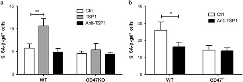https://cdn.ncbi.nlm.nih.gov/pmc/blobs/128d/5059850/cf7257833e61/cddis2016155f5.jpg