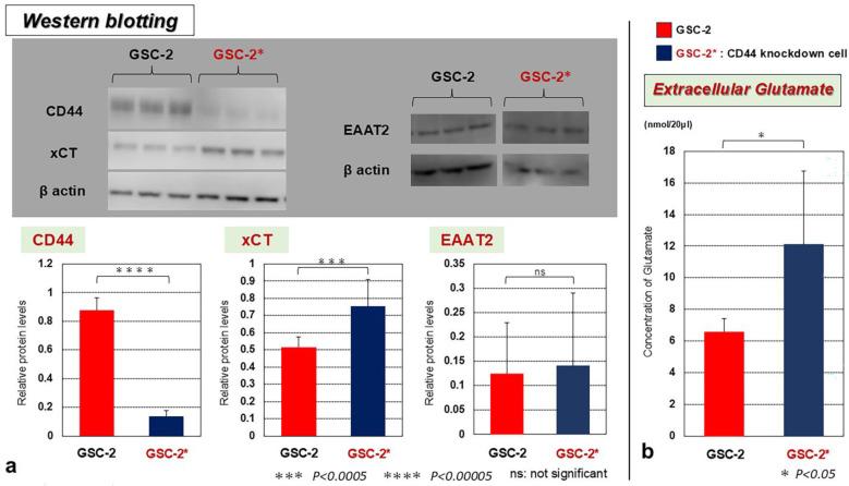 https://cdn.ncbi.nlm.nih.gov/pmc/blobs/1290/11853413/1a21bcdd3f29/biomedicines-13-00372-g004.jpg