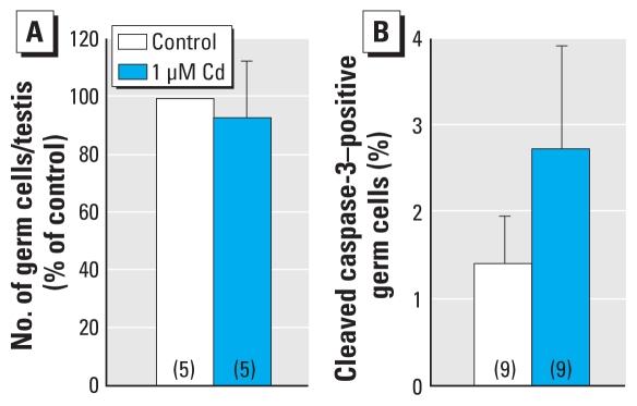 https://cdn.ncbi.nlm.nih.gov/pmc/blobs/1290/2854759/1c36ecaea1bb/ehp-118-331f5.jpg