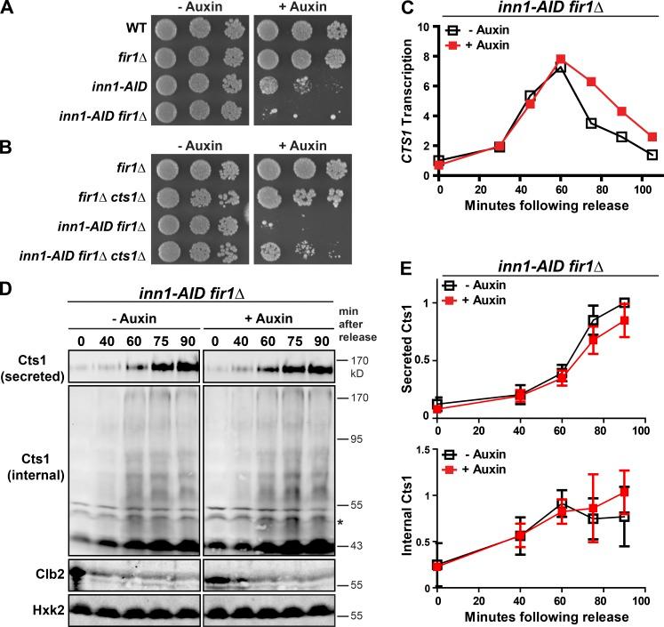 https://cdn.ncbi.nlm.nih.gov/pmc/blobs/1291/6314563/731ce9fec5af/JCB_201805100_Fig3.jpg