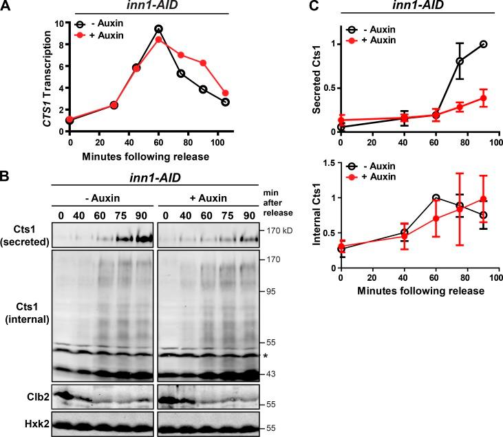 https://cdn.ncbi.nlm.nih.gov/pmc/blobs/1291/6314563/f0f7df2fd2fc/JCB_201805100_Fig2.jpg