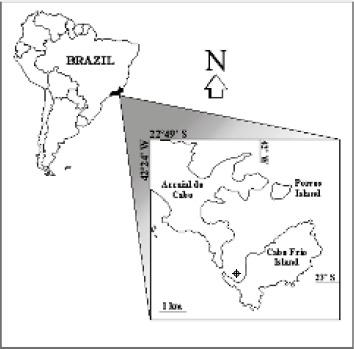 https://cdn.ncbi.nlm.nih.gov/pmc/blobs/1293/3768594/c4be1a2efeb0/bjm-40-857-g001.jpg