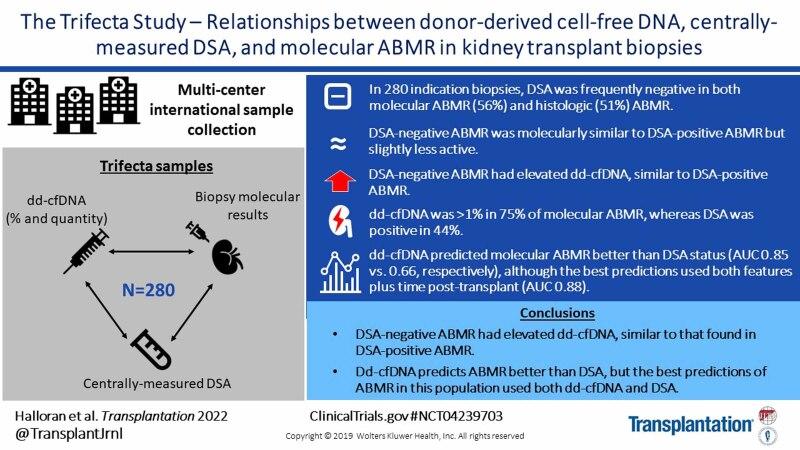 https://cdn.ncbi.nlm.nih.gov/pmc/blobs/1293/9946174/3bab114fc9fd/tp-107-709-g001.jpg