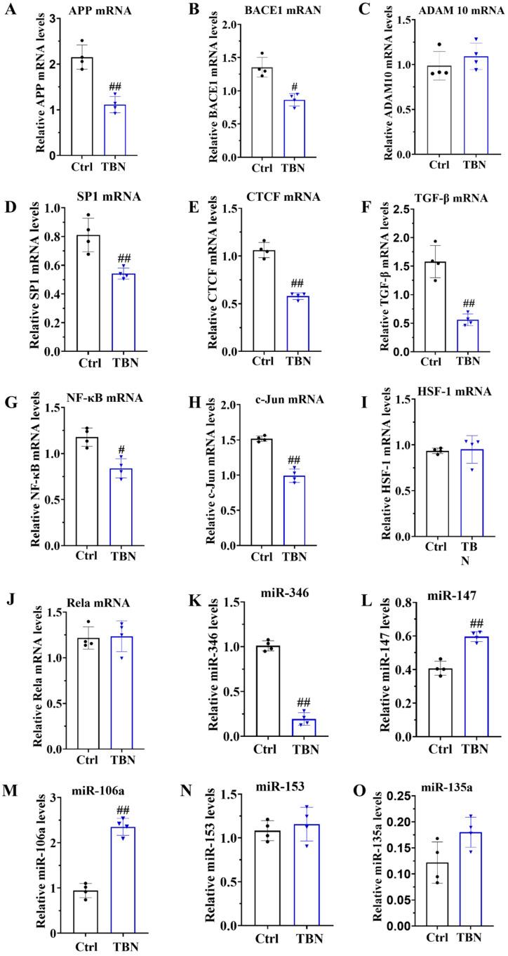 https://cdn.ncbi.nlm.nih.gov/pmc/blobs/1294/11357250/e31fdd68ee3e/pharmaceuticals-17-01005-g005.jpg