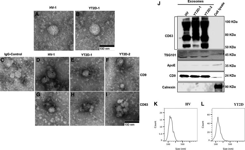 https://cdn.ncbi.nlm.nih.gov/pmc/blobs/1294/11361354/2f99cc8e767c/res-135-639-g003.jpg