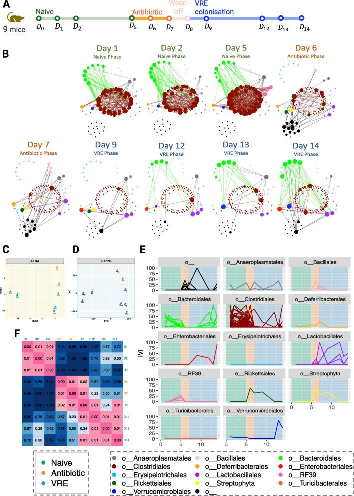 https://cdn.ncbi.nlm.nih.gov/pmc/blobs/1295/11874778/b5b430625d41/40168_2025_2041_Fig9_HTML.jpg