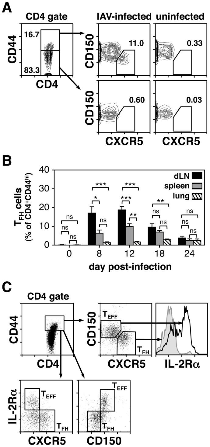 https://cdn.ncbi.nlm.nih.gov/pmc/blobs/1295/3394713/28dec0c557a8/pone.0040733.g007.jpg